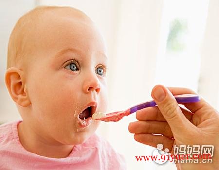 泥糊类宝宝辅食制作大全 水果泥美味肉泥营养丰富又美味